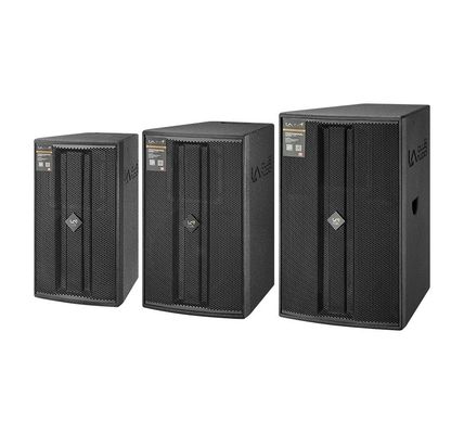 X-10/12/15 Altavoz de matriz lineal de 2 vías Altavoz de rango completo 2×Speakon NL4MP