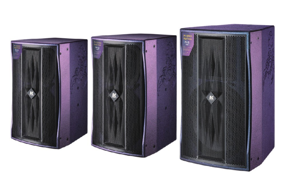 La serie PK de dos vías altavoz de frecuencia completa de madera contrachapada de abedul cuerpo 10 12 15 pulgadas